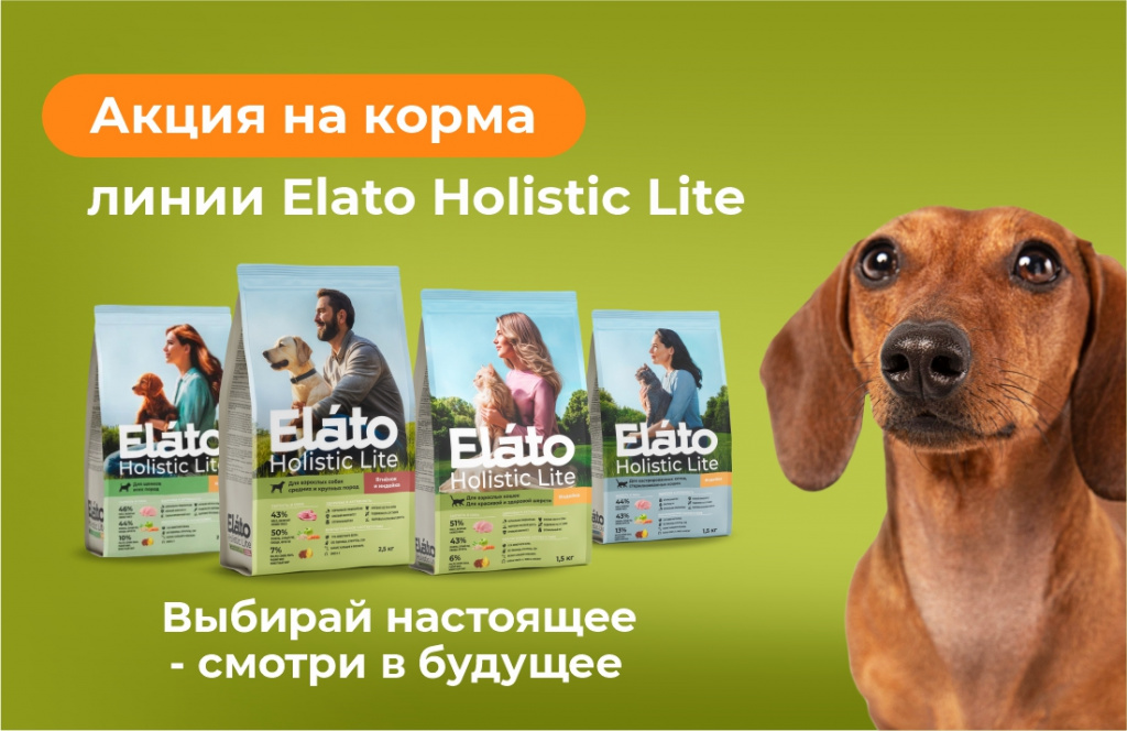 Скидка 20% на корма Elato Holistic Lite - картинка
